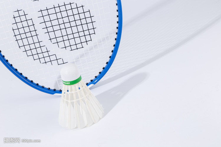 国羽单打项 国羽单打项